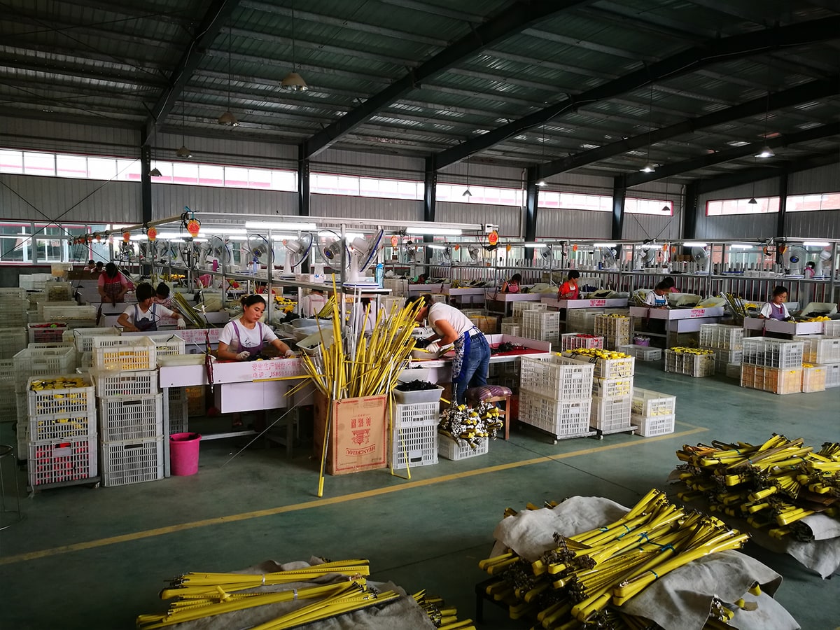 WOOKTOOL measuring tape assembly workshop for wholesale tape measure production